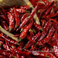 Venta caliente al por mayor China Hot Red Chili Peppercorn